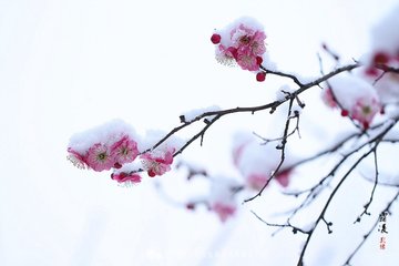 松竹體十三行一一有感戊戌立春日(步黃永健教授韻和之) 